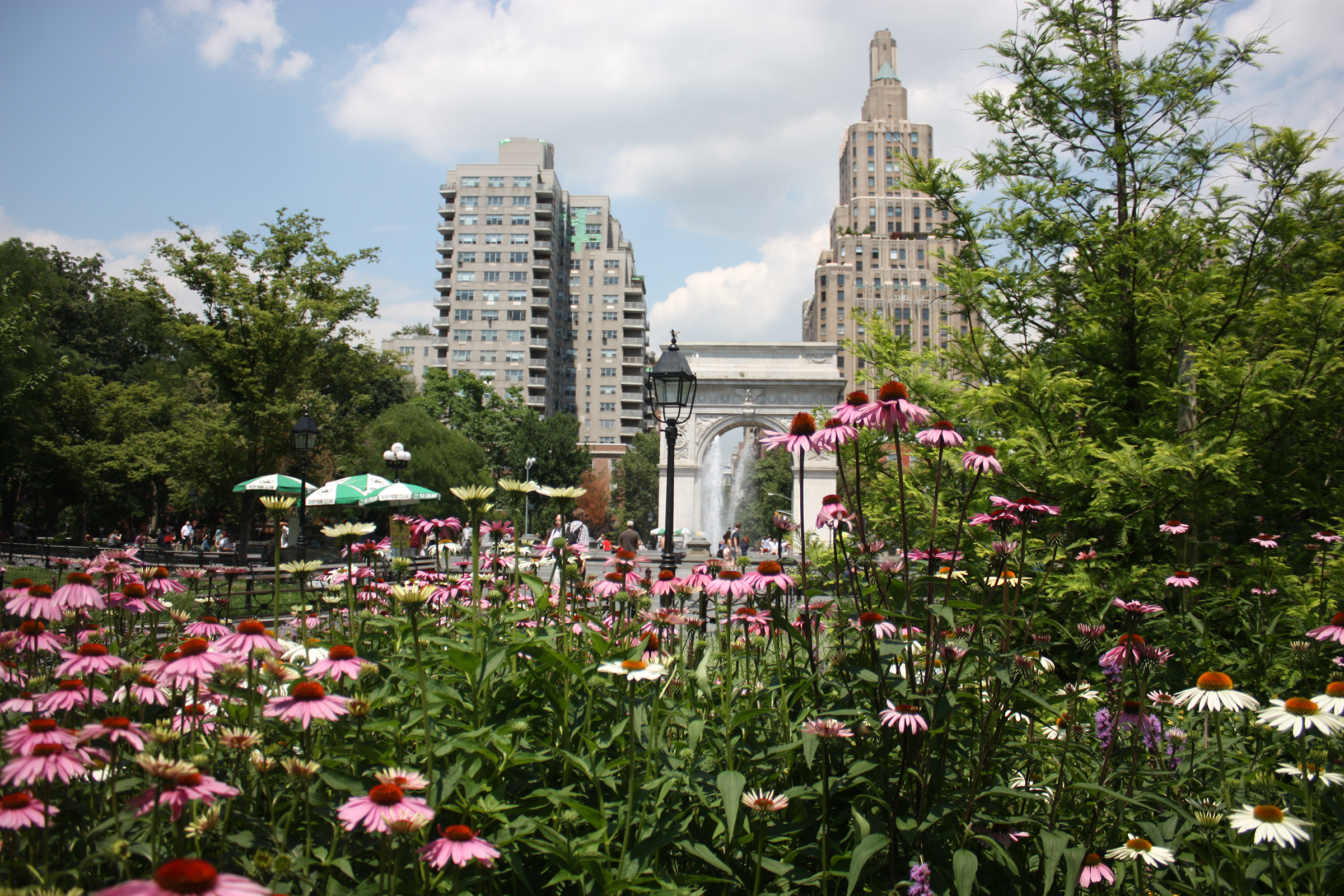 NYC skyline cc Betty Tsang