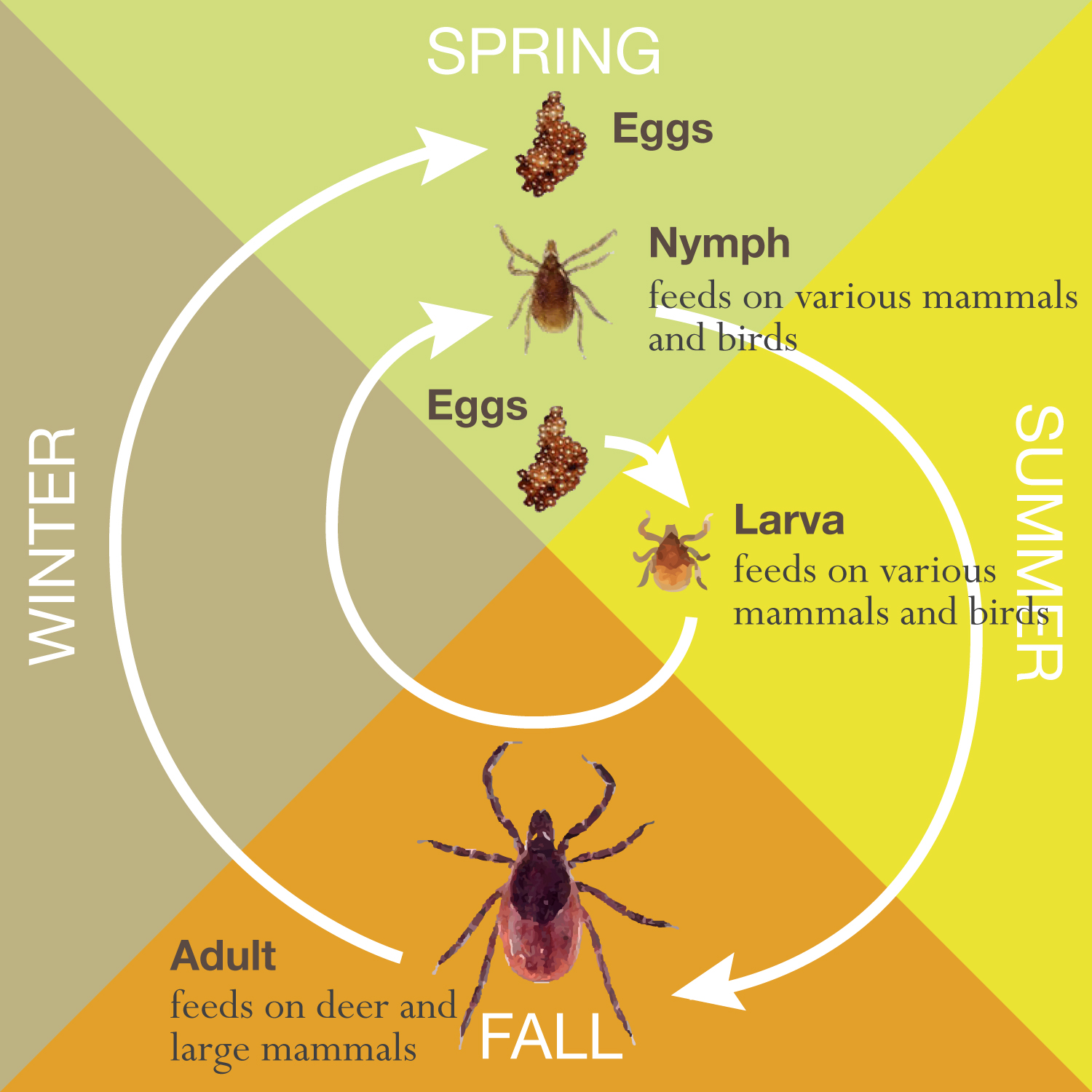 Time To Move Lyme Disease Awareness Month To April