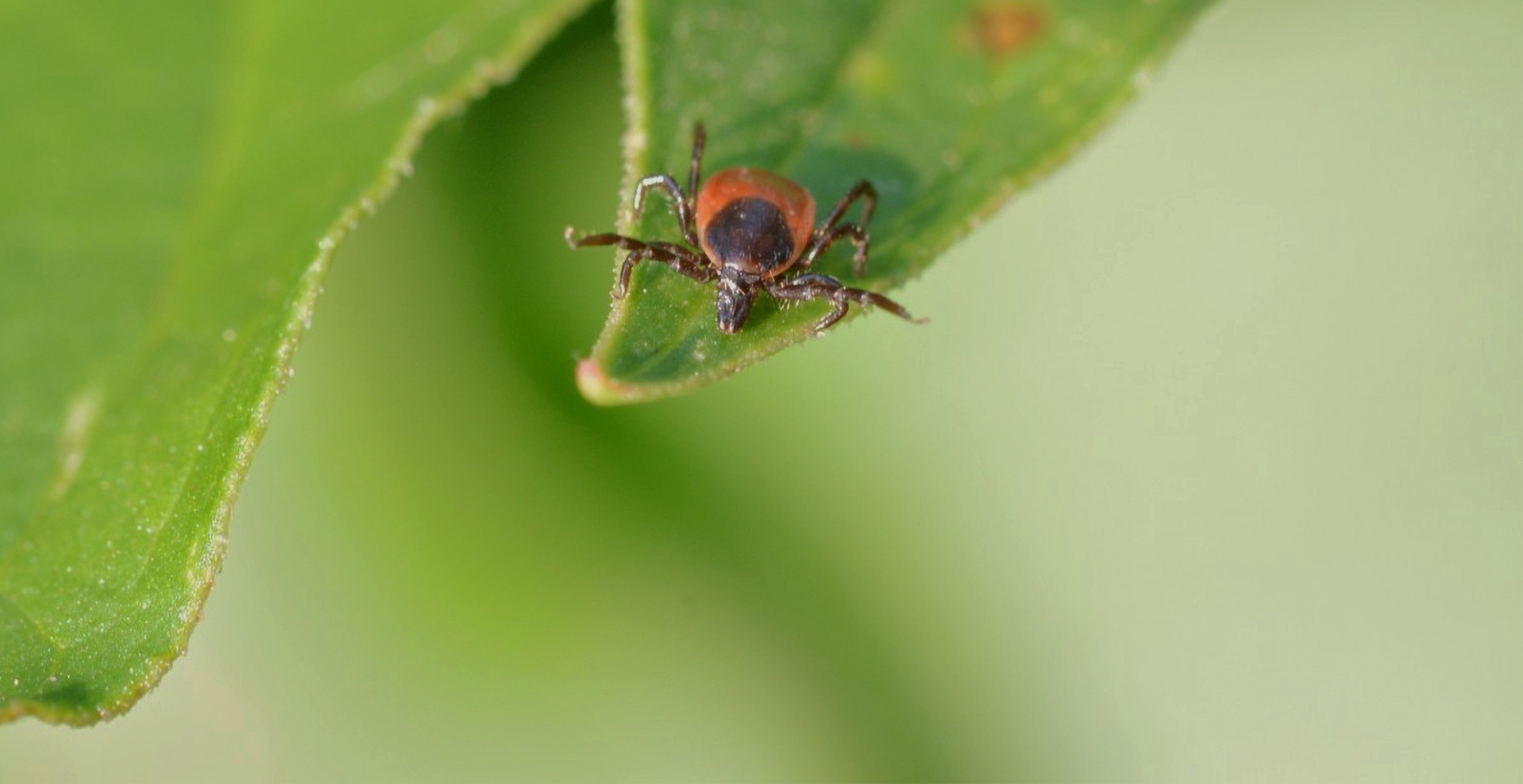 what makes a serial killer tick research institute what makes a serial killer tick research institute