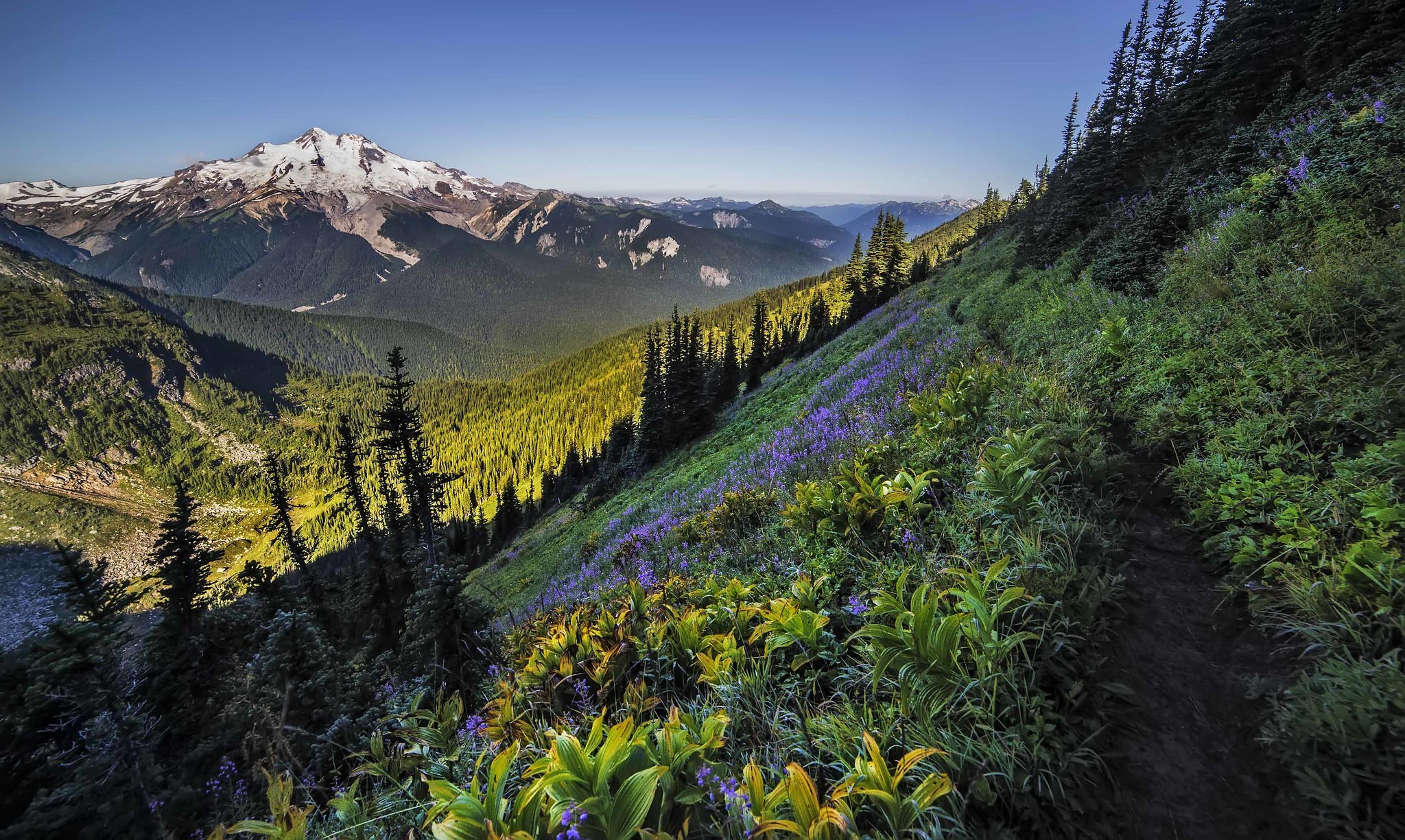 Wilderness Wilderness