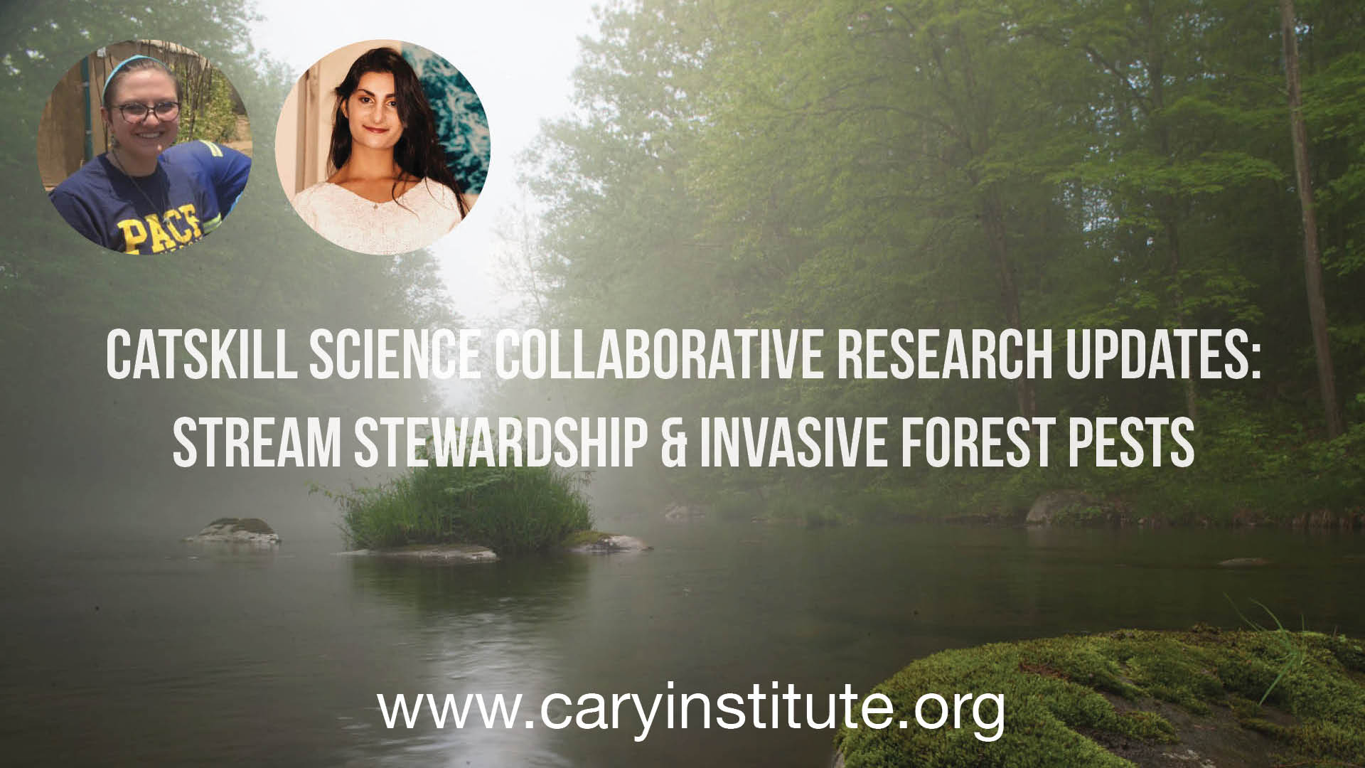 Catskill Science Collaborative Research Updates: Stream