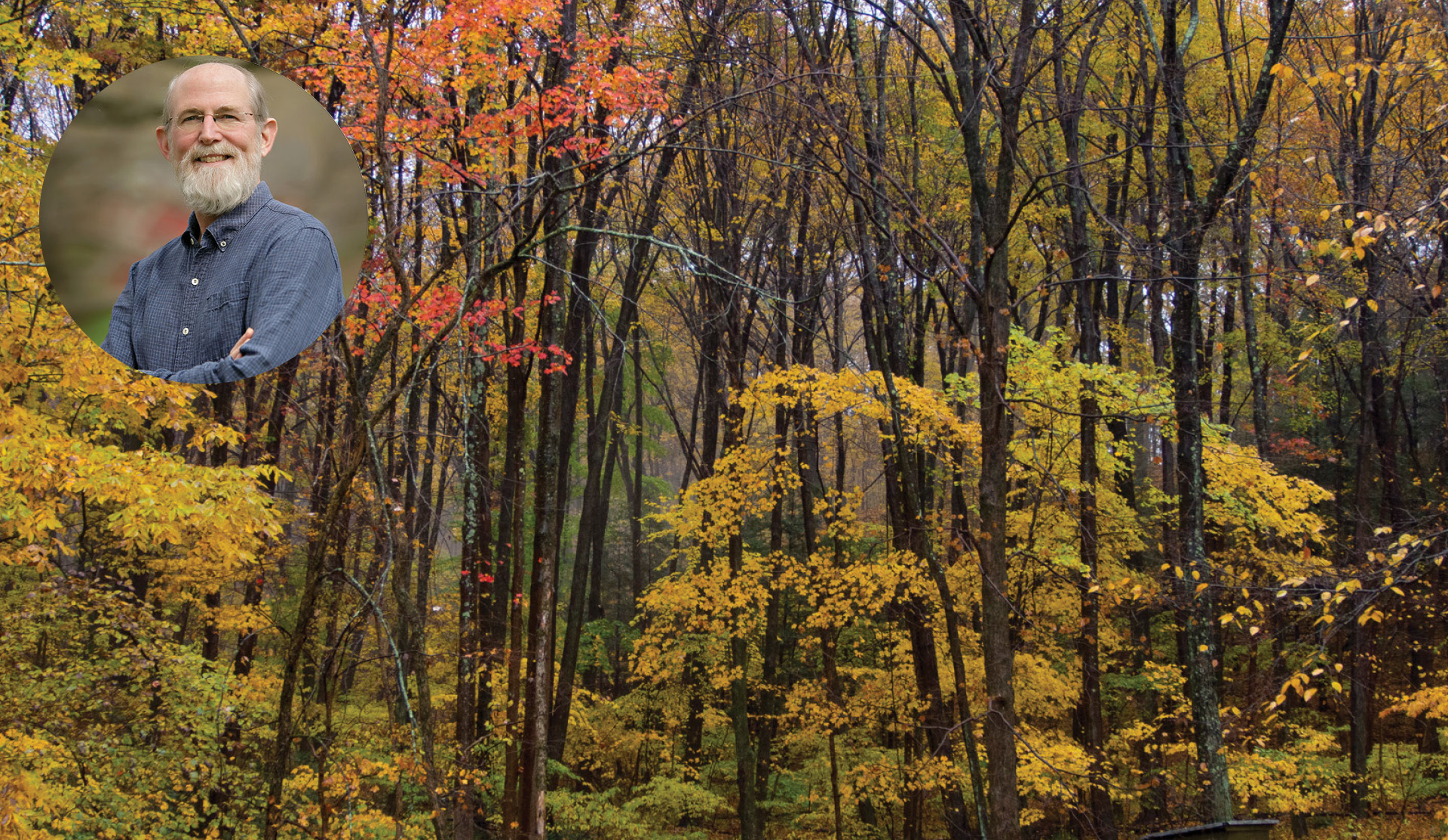 Hudson River Valley Ramble Forest Ecology Walk