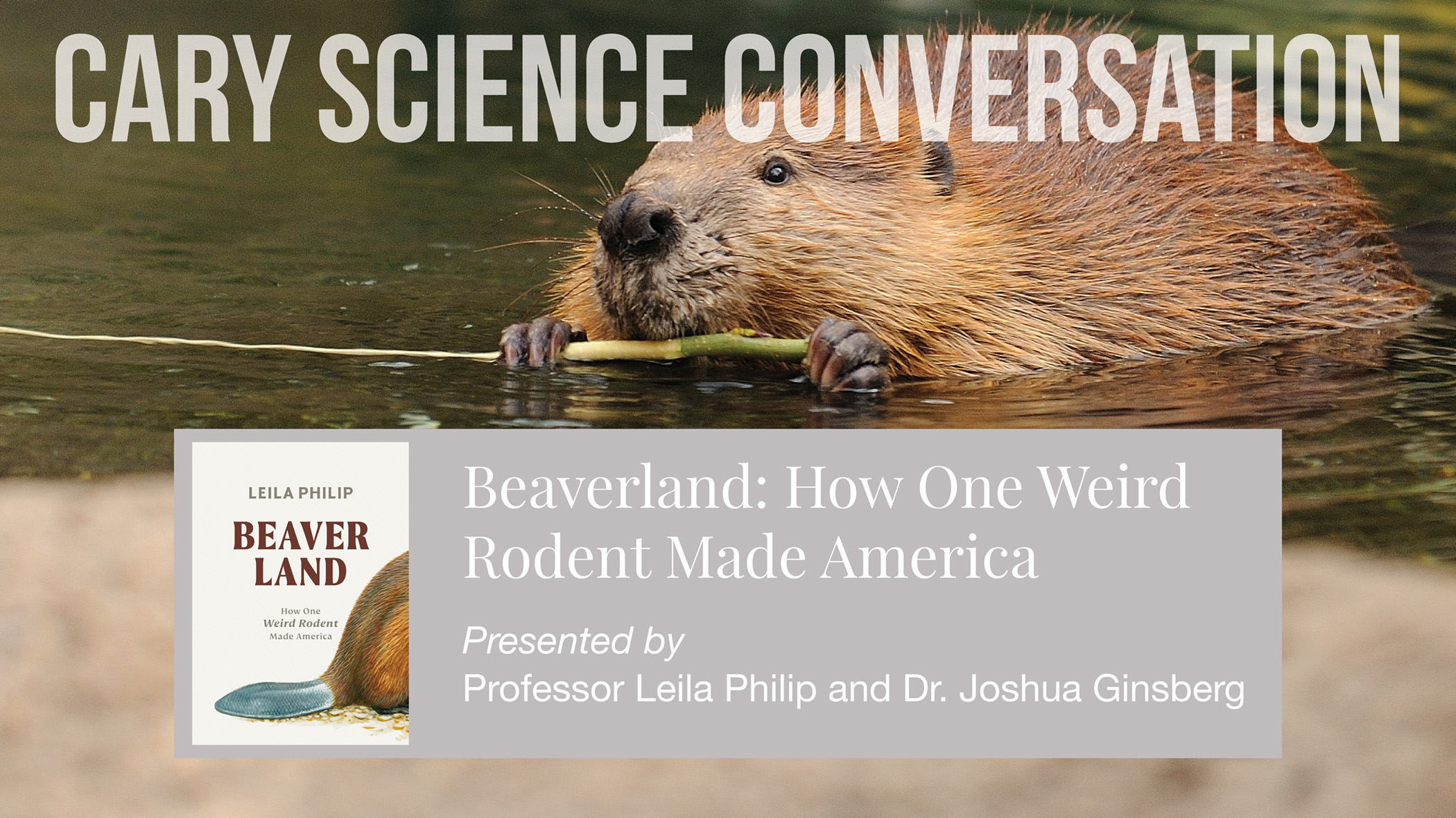 Beaverland How One Weird Rodent Made America