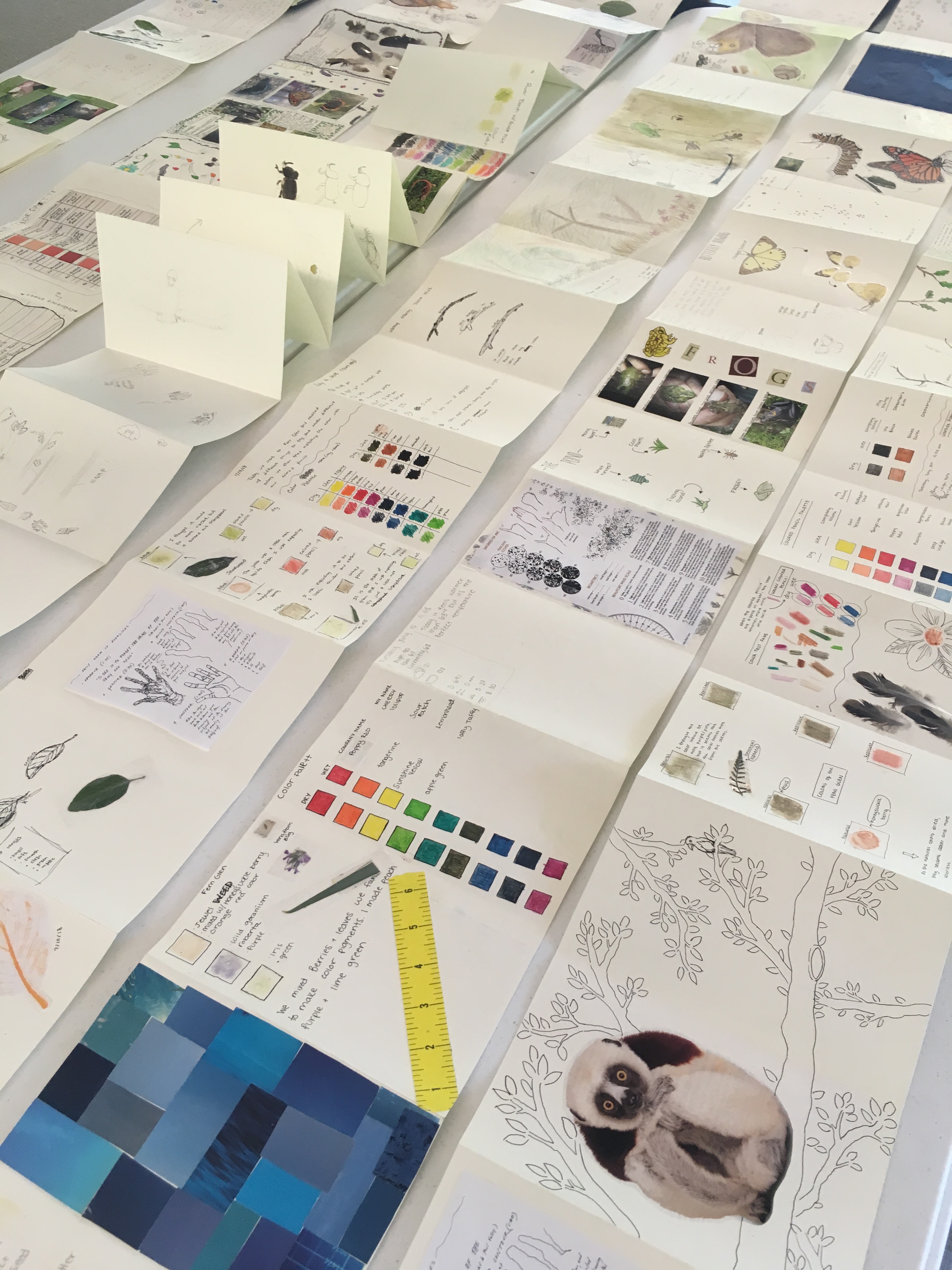 Field journals from Cary Institute's teen Art & Science summer course