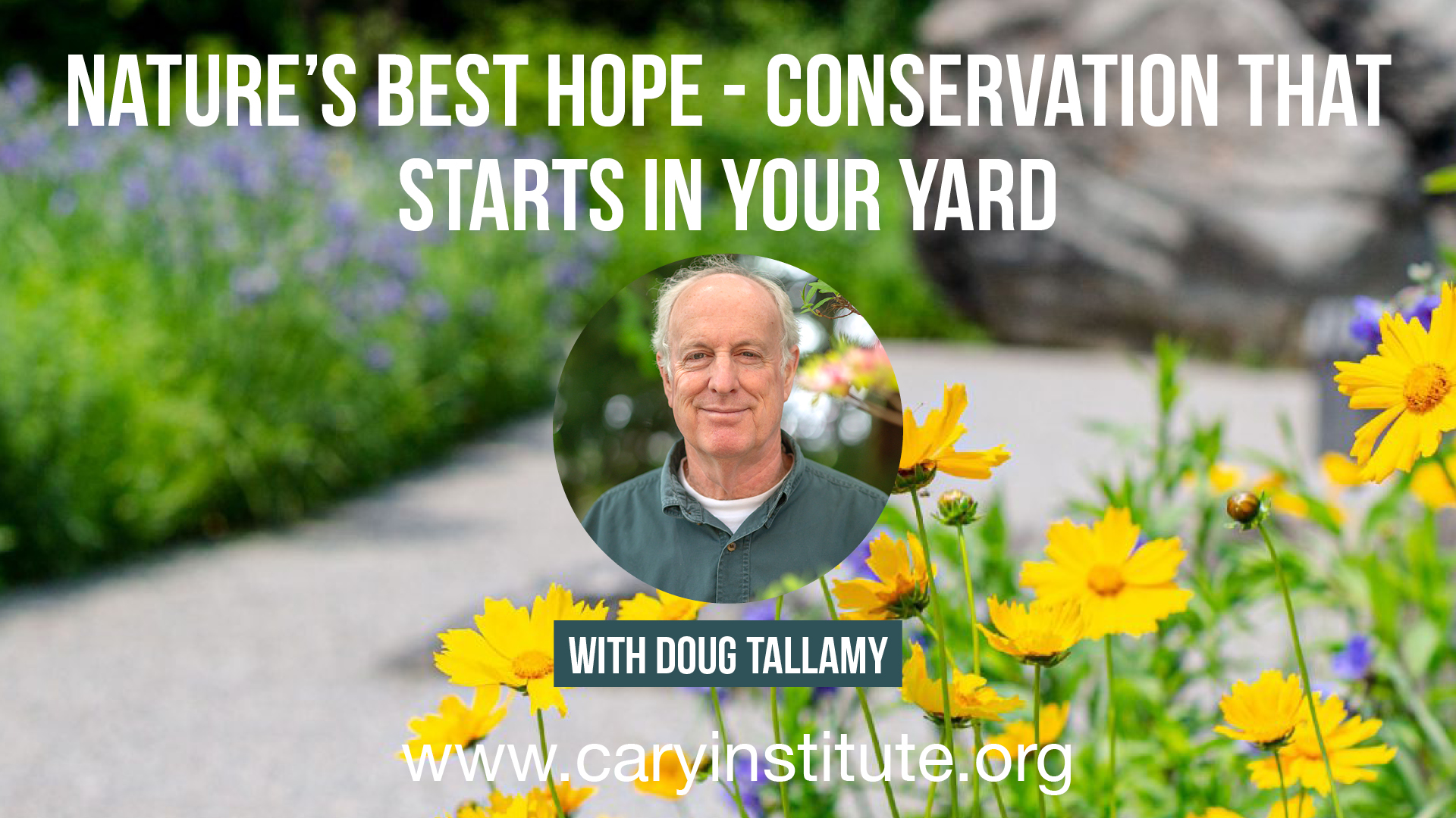 Nature's Best Hope Conservation That Starts in Your Yard