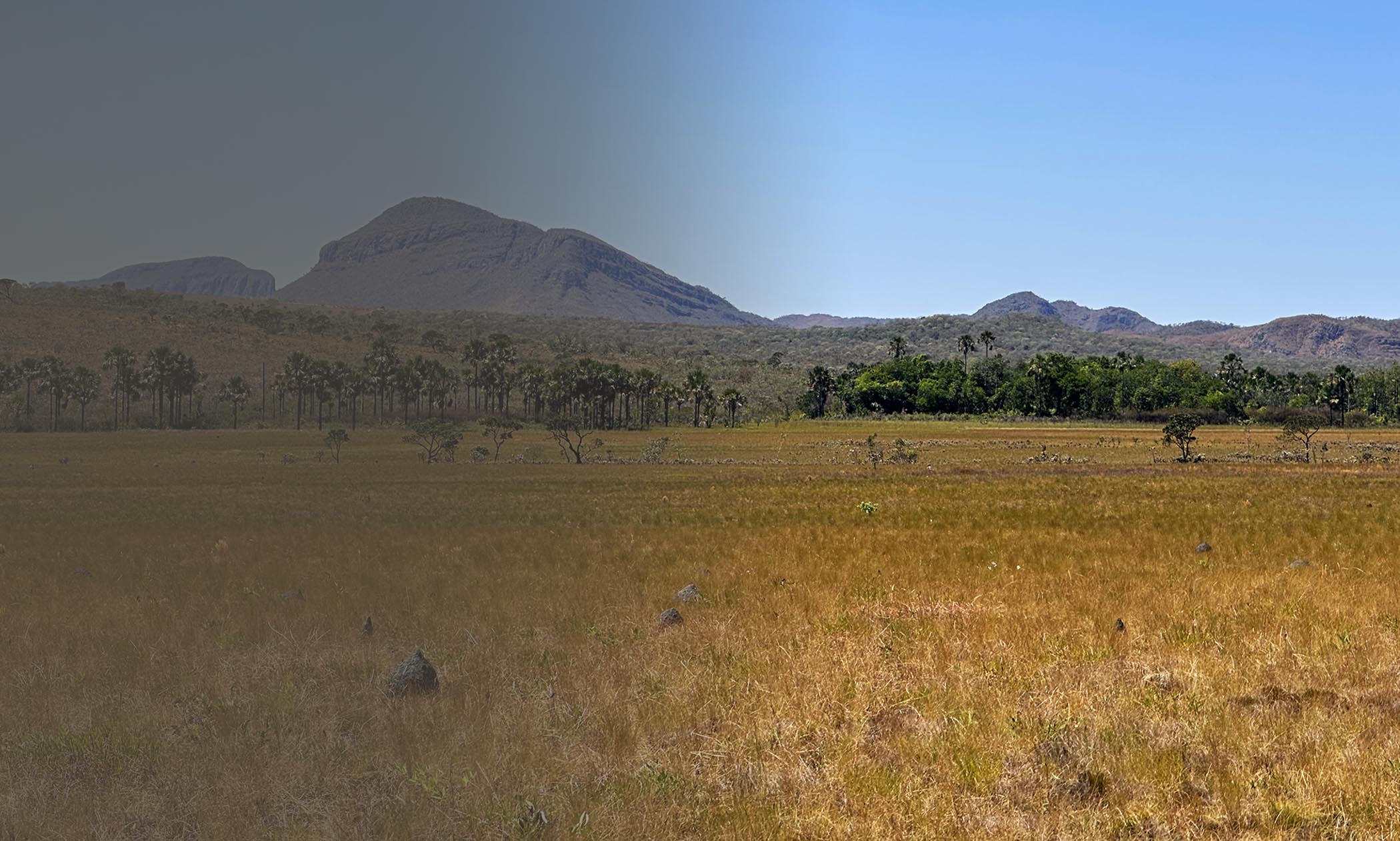 cerrado hills