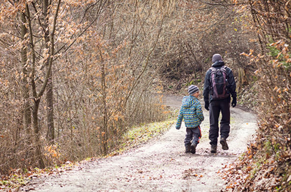 walking in woods