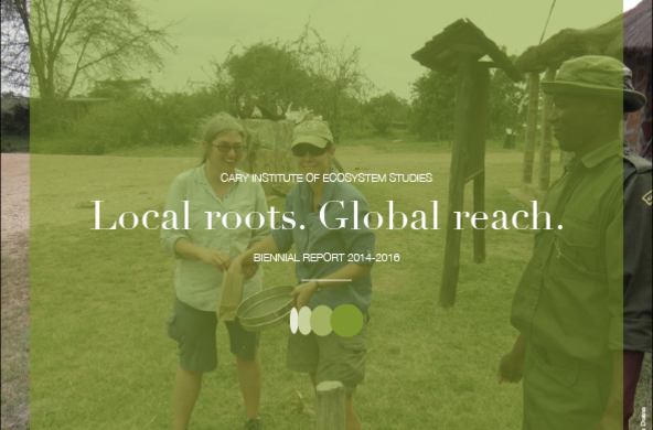 biennial report