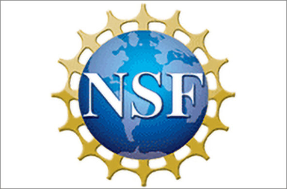 nsf