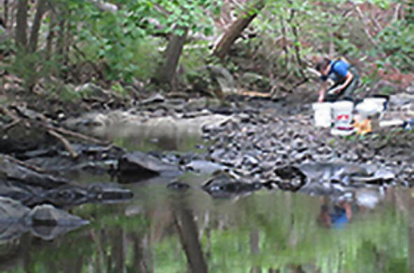 stream