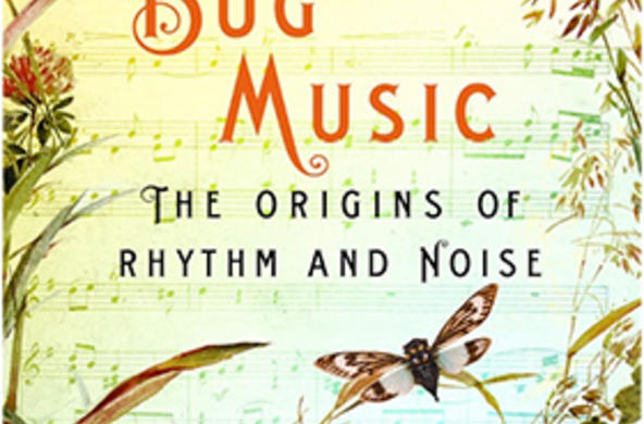 bug music