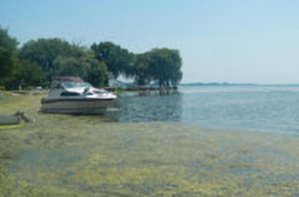 great lakes 