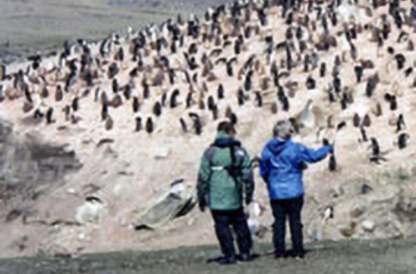 antarctic