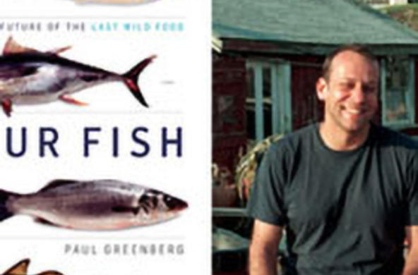 Four Fish 