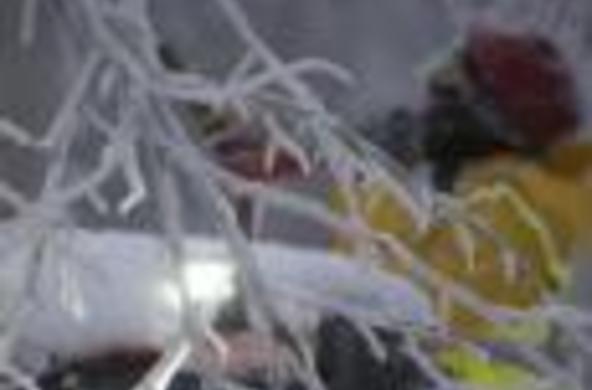 ice