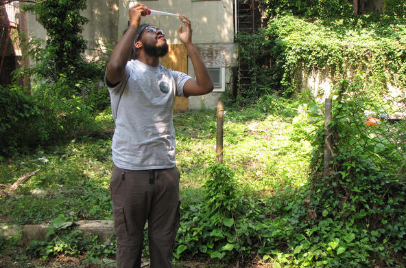 Baltimore sampling for mosquitoes CC BES