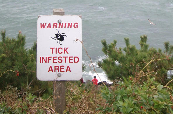 Tick warning sign cc