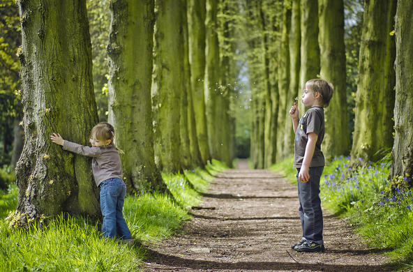Children in forest ©Colin McDonald