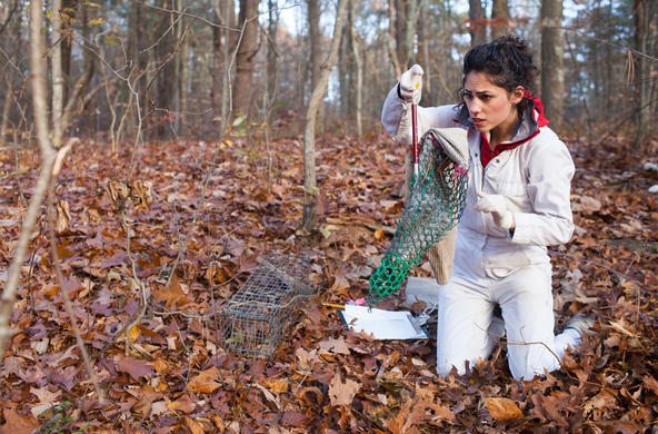 Mouse trapping Franceca Rubino ©stephen reiss