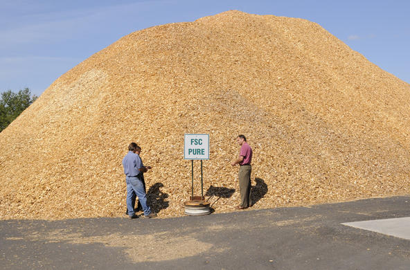 biomass pile cc