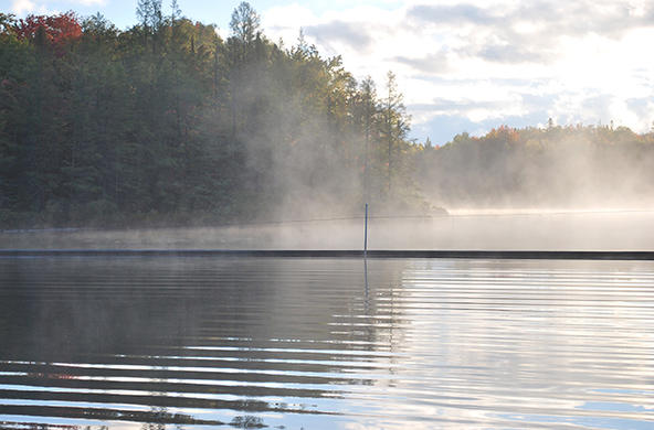 mist lake