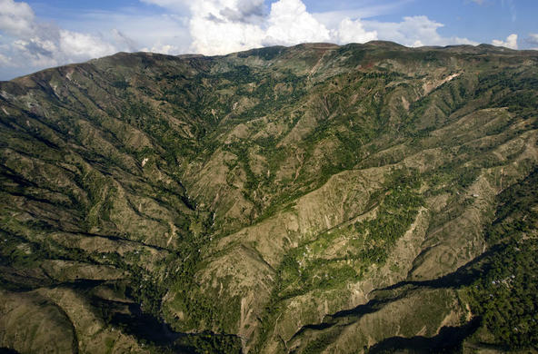 reforestation in Haiti cc by UN