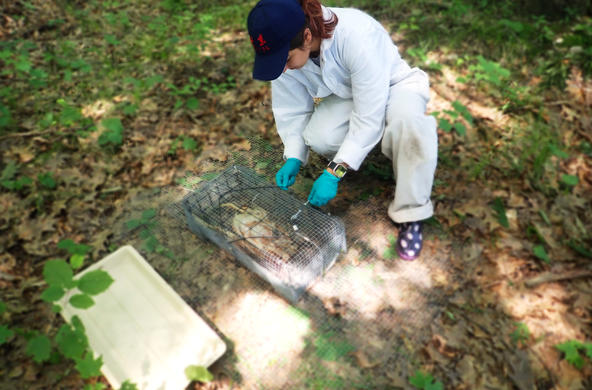 measuring invertebrate presence cc mike fargione