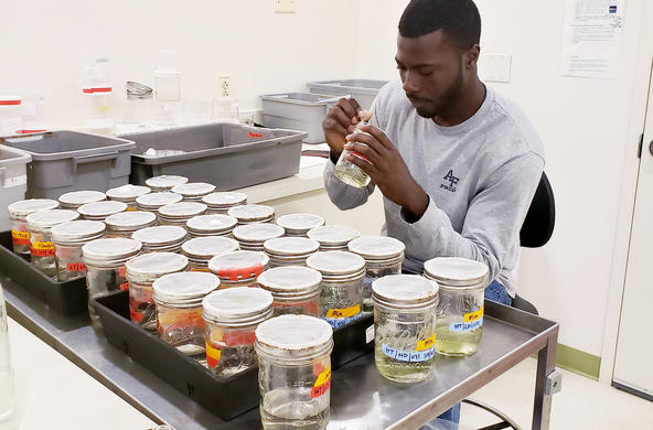 looking at mesocosms cc shannon ladeau
