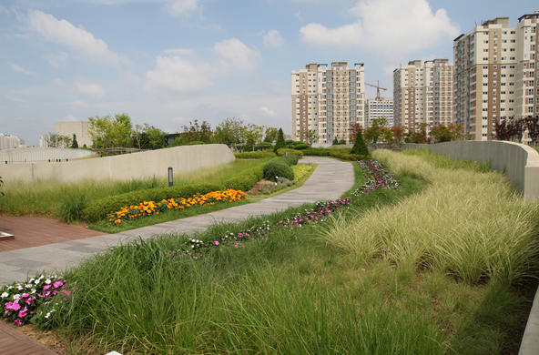 green roof