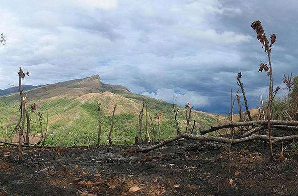 panama deforestation eutrophication & hypoxia via flickr