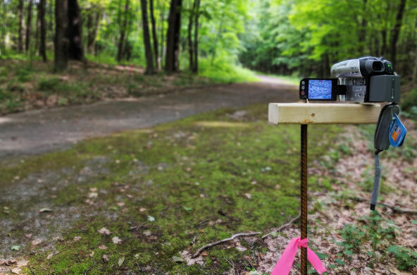 trail cam
