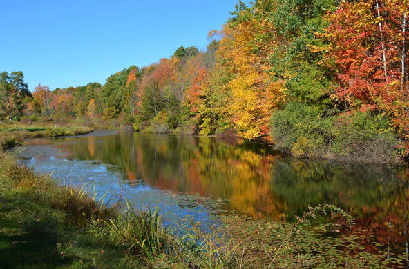 cary campus in the fall