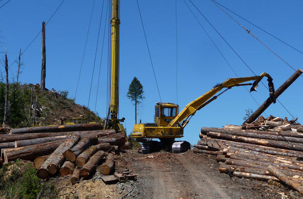 logging cc francis eatherington