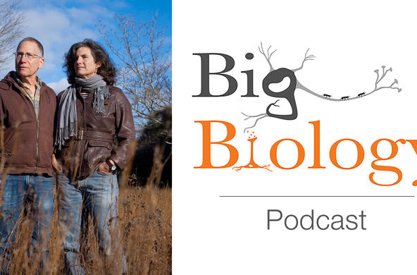 big biology podcast event