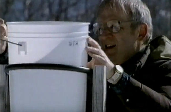 gene likens sampling