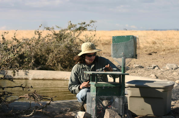 ilya fishhoff in ol pejeta