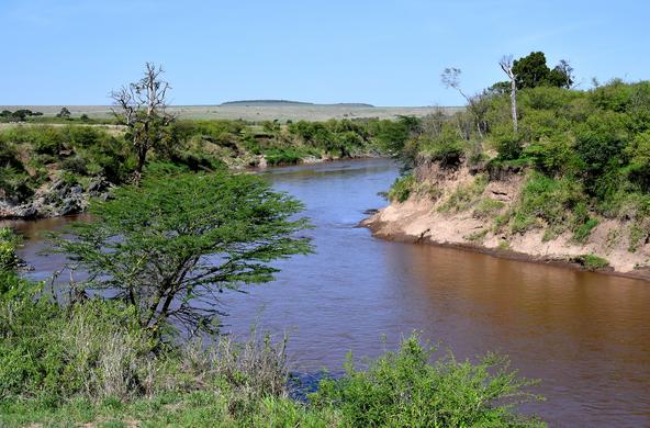 Mara River in Kenya. Credit: Roger Sargent via Flikr