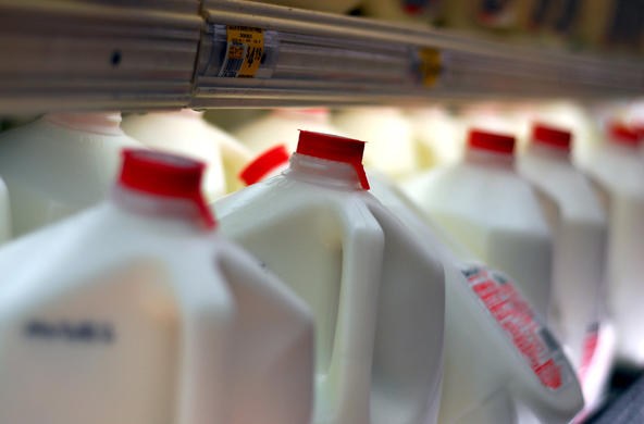 milk cc guy montag