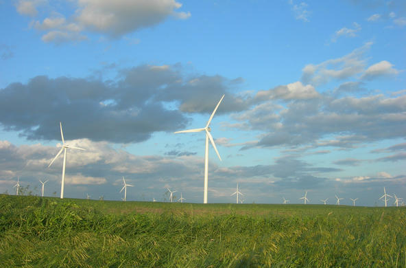 wind farm cc jimmy emerson