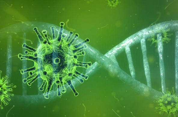coronavirus