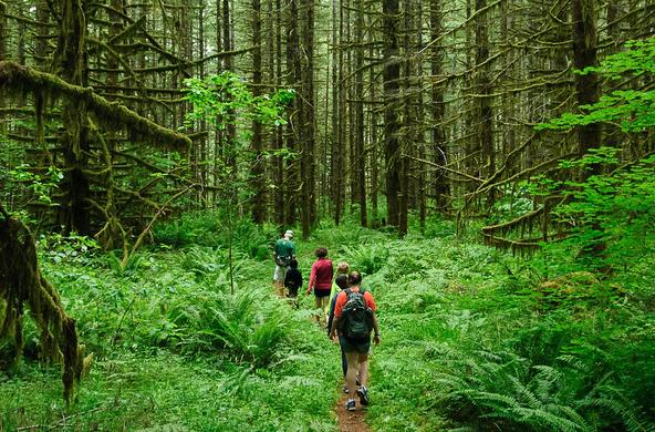 hiking in forest cc loren kerns