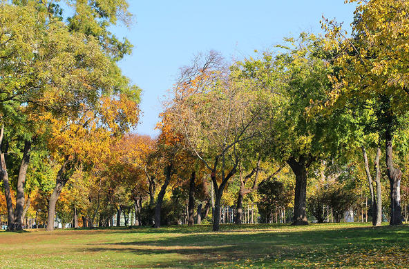 Budapest Park