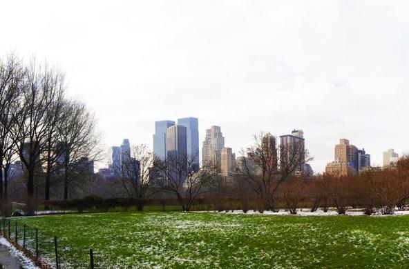 Central Park Skyline