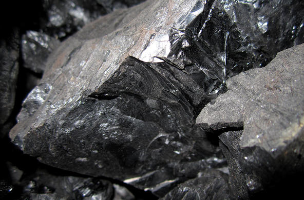 Coal 