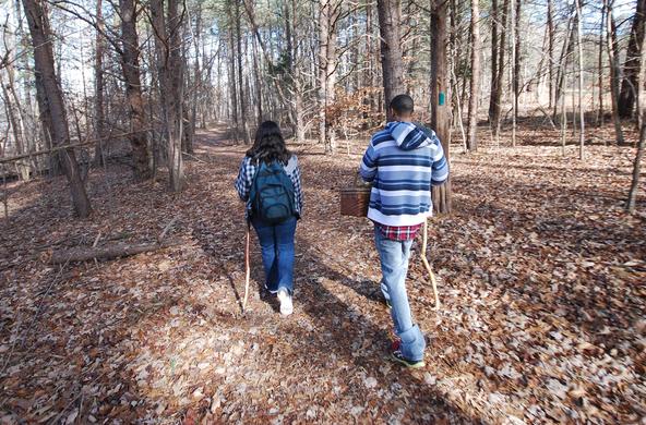 hiking_forest_cc_viginia_state_parks