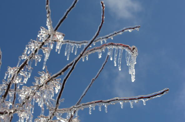 Ice storm 