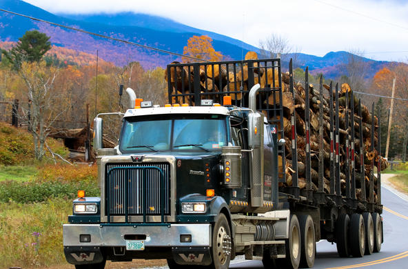 Logging by Mussi Katz
