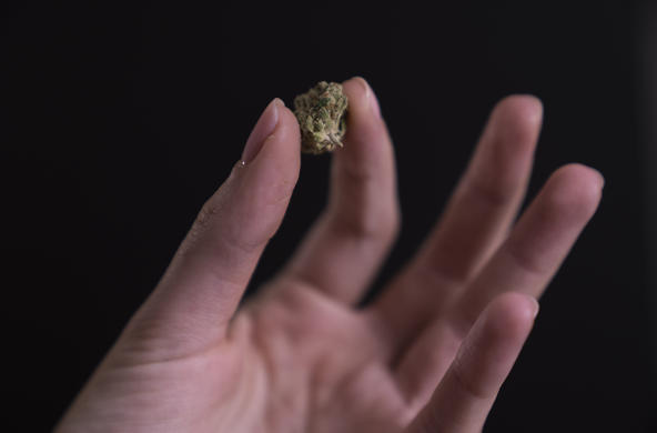 Medical Marijuana Stock Photo