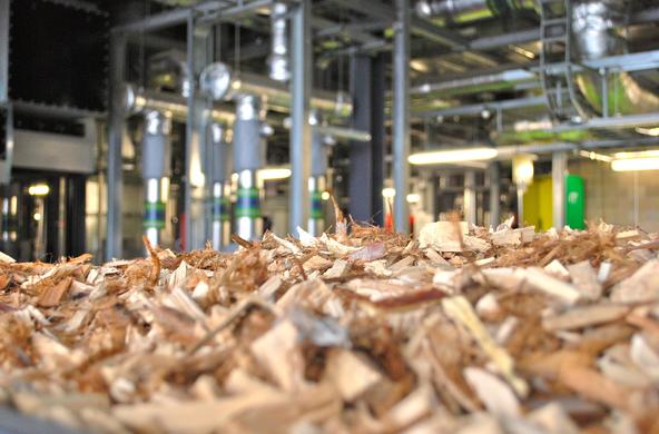 biomass 