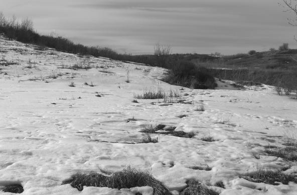 Snowpack by Jon Ross